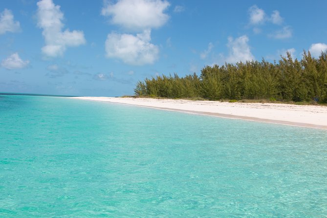 Nassau Private Half-Day Beach and Sightseeing Charter  - New Providence Island - Overview of the Experience