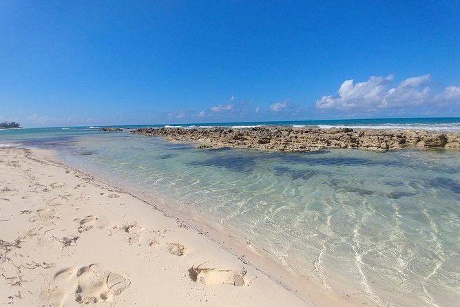 Nassau Shore Excursion: Sightseeing and Snorkeling Tour - Meeting and Pickup Information