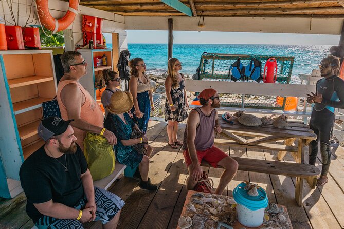 Nassau Sightseeing Tour via Coach With Snorkeling  - New Providence Island - Cancellation Policy