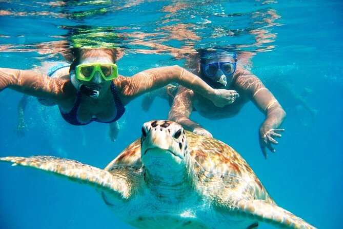 Nassau Small-Group Half-Day Boat and Snorkel Tour  - New Providence Island - Tour Details and Inclusions