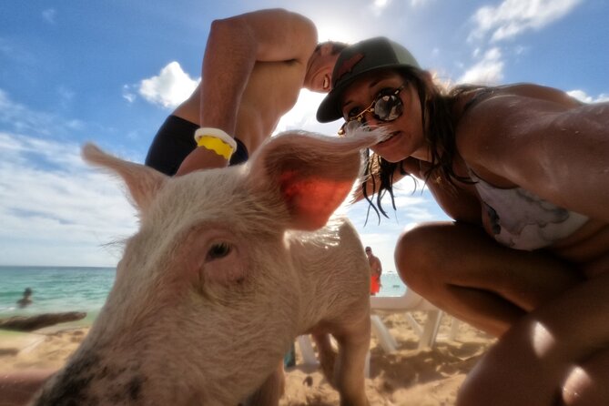 Nassau Small-Group Half-Day Snorkeling Sea Escape - Tour Overview and Details