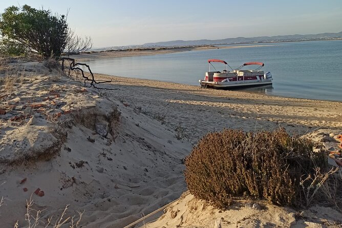 Nature Catamaran Tour From Faro - Meeting Point and Pickup Information