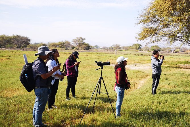Nature Tour, Pómac Forest With Picnic Breakfast Included. - Tour Details