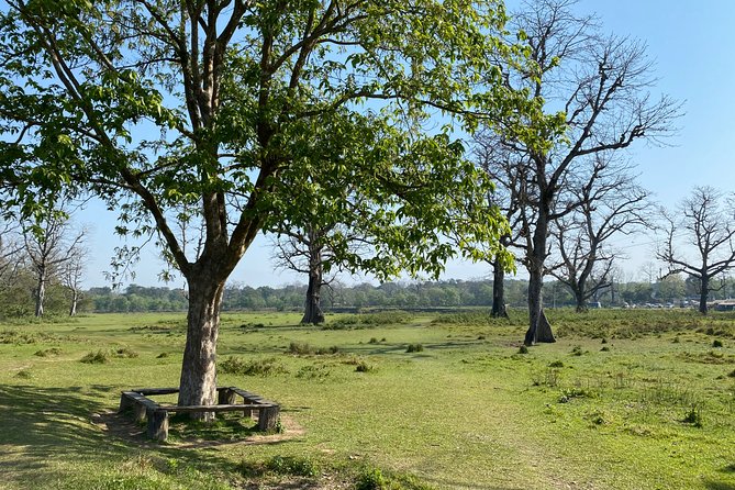 Nature Walk in Chitwan Jungle Safari With Guide - Importance of Having a Guide