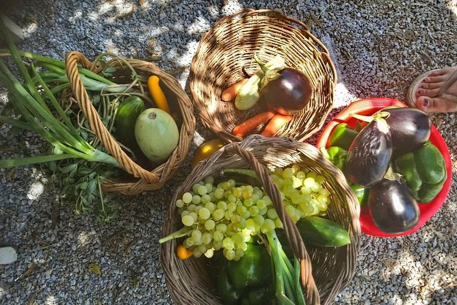 Naxos Half-Day Cooking Lesson - Village Visit and Vegetable Picking