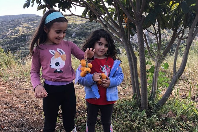 Naxos Perivoli Farm Experience & Wood-fire Cooking Class - Farm Tour and Agricultural Education