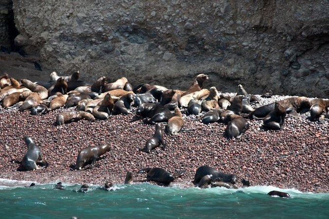 Nazca Lines & Ballestas Islands Private Tour From Lima - Tour Overview and Itinerary
