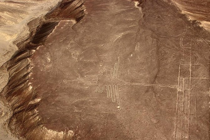Nazca Lines From Nazca Airport - Overview of the Nazca Lines Tour