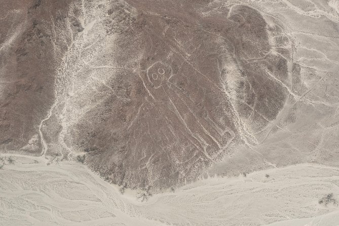 Nazca Lines Full Day Trip From Lima - Pricing and Logistics