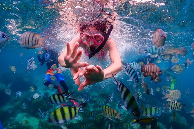 Nemo Island Full Day Tour by Speedboat With Snorkeling Experience - Tour Highlights