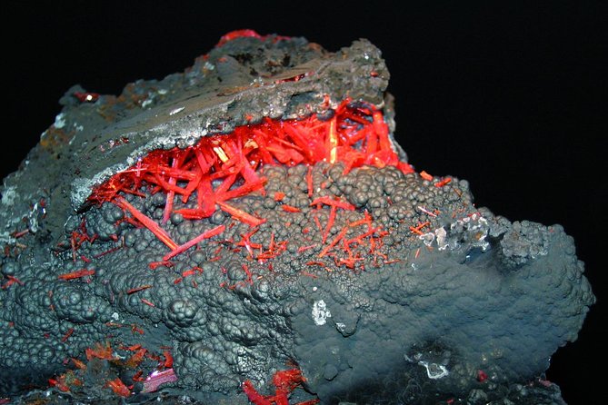 Netherlands Fossil and Mineral Museum Admission Ticket  - Leeuwarden - Booking and Visit Information