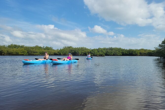 New Smyrna Dolphin and Manatee Adventure Tour - Meeting and Logistics