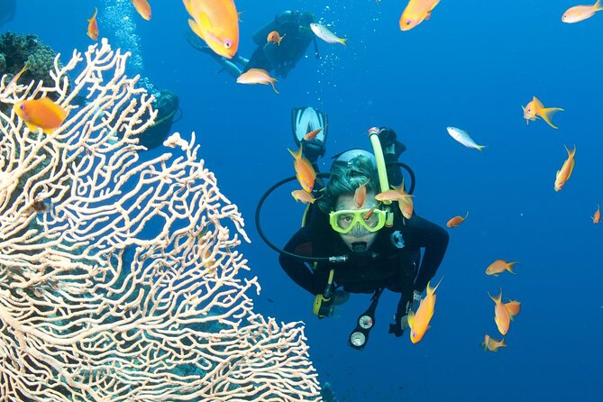 Nha Trang Island and Snorkeling Full Day Tour - Tour Highlights