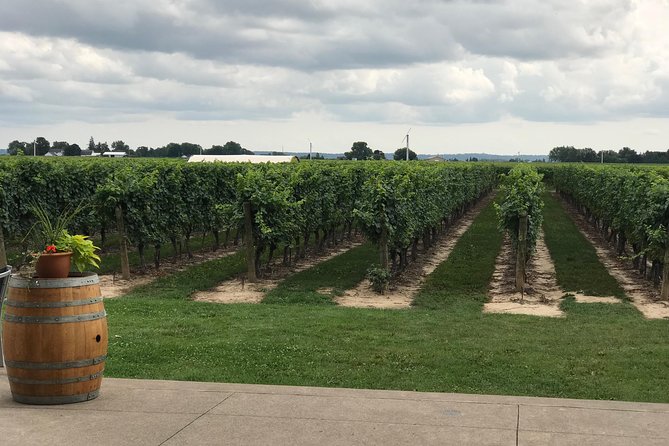 Niagara-on-the-Lake Wine and Beer Small-Group Tasting Tour  - Niagara Falls & Around - Tour Overview and Highlights