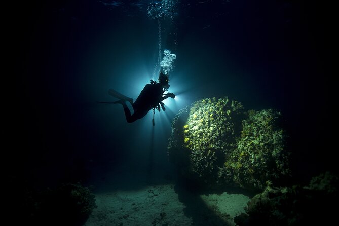 Night Diving in Fujairah With Live BBQ Dinner - Meeting and Pickup