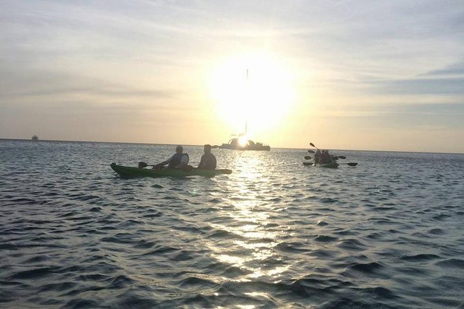 Night Glass Kayak Tour - Observing Marine Life at Night