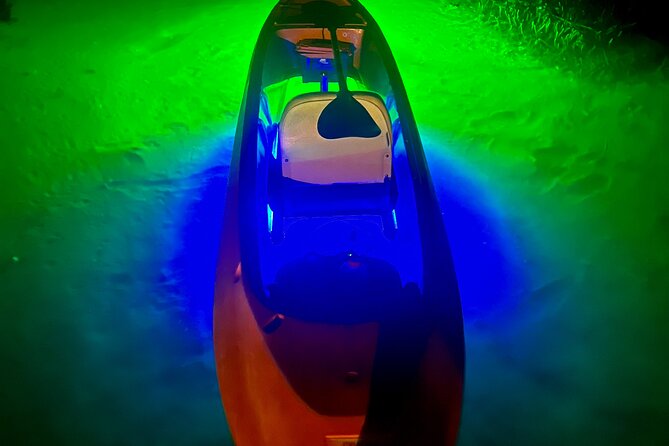 Night Mangroves LED Tour on a Glass Bottom Kayak - Tour Details