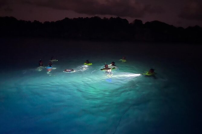 Night Snorkeling and Boat Experience With Appetizer and Drinks - Overview and Highlights