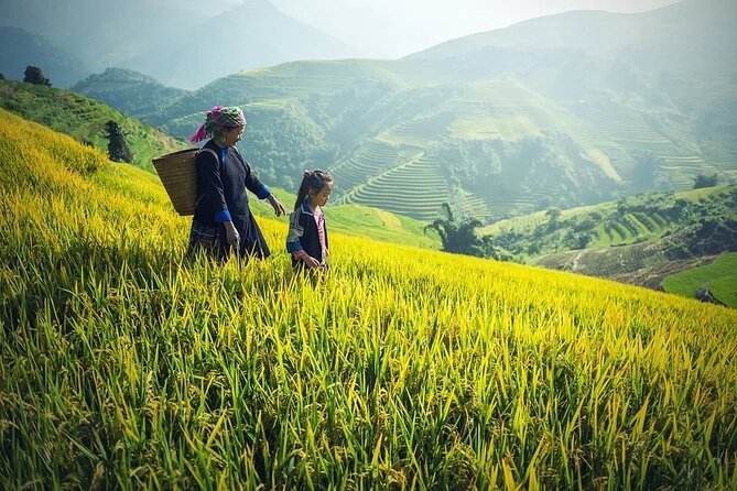 Noi Bai Airport Transfer by Luxury Limousine Bus to Sapa From Hanoi - Features and Amenities: Enjoy a Luxurious Journey to Sapa