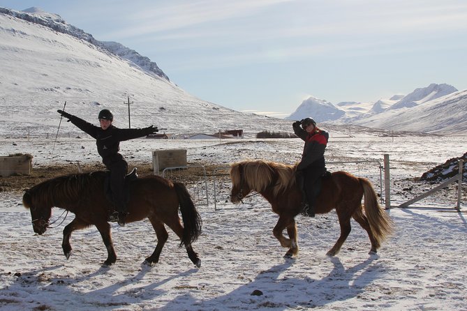 North Iceland: Horseback Riding Tour  - Akureyri - Tour Details