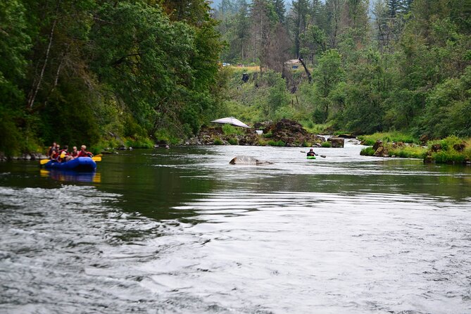 North Santiam Whitewater Rafting - Overview of North Santiam Whitewater Rafting