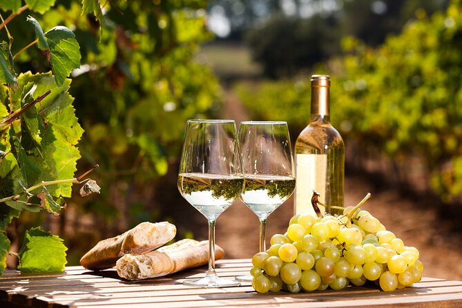 Northern Arizona Private Wine Tour South of Sedona - Verde Valley Wineries - Cancellation Policy