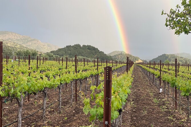 Northern California Private Full-Day Wine Tour  - Napa & Sonoma - Tour Details and Inclusions