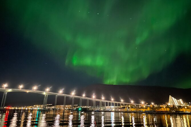 Northern Light Cruise With Luxury Catamaran in Tromso, Norway - Cruise Details