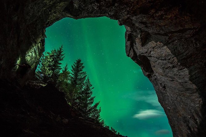Northern Light Safari - Experience the Northern Lights
