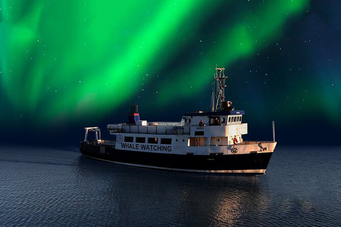Northern Lights Boat Cruise From Reykjavik - Tour Details and Features