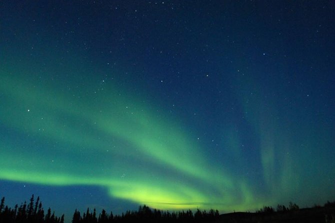Northern Lights Experience and Cabin Dinner - Overview