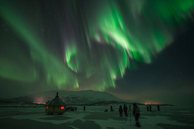 Northern Lights Photo Adventure in Abisko National Park  - Sweden - Inclusions