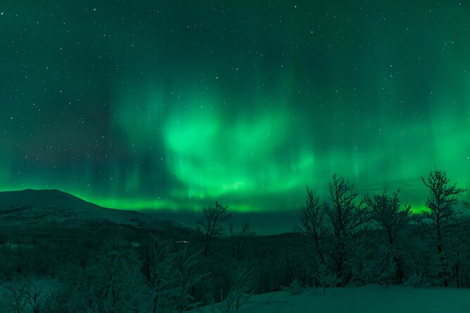 Northern Lights Tour From Kiruna to Abisko With Dinner - Tour Overview and Details