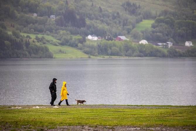 Norway: Voss and Gundvagen Private Tour  - Bergen - Tour Pricing and Lowest Price Guarantee