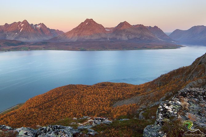 Norwegian Fjords Tour, Including Professional Photos in Tromso - Guides Knowledge and Friendliness