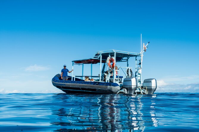 Oahu: 3 Hour Dolphin Swim and Snorkeling Speedboat Tour - Tour Confirmation and Accessibility Information
