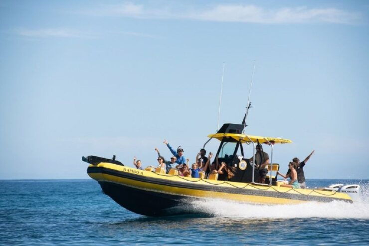 Oahu: North Shore Haleʻiwa: Private Boat Charter - Activity Details