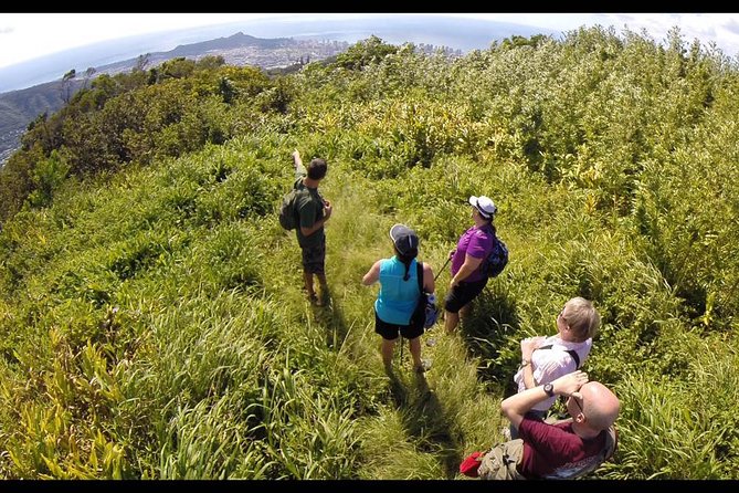 Oahu Volcanic Rainforest Hiking Adventure - Tour Experience and Guide Knowledge