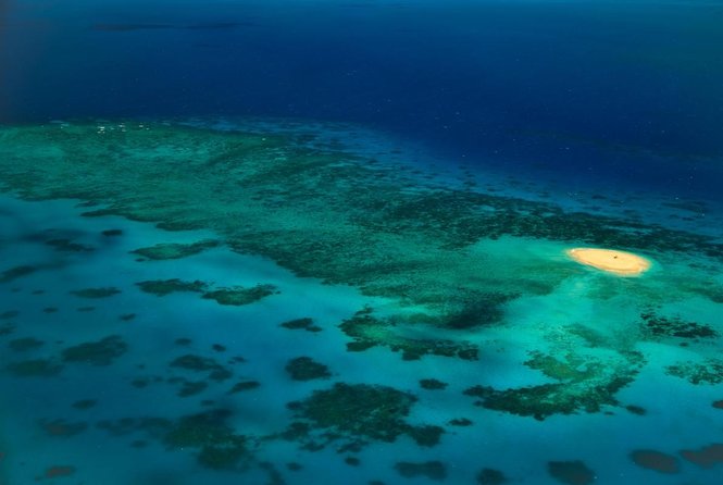 Ocean Spirit Sail to Michaelmas Cay Snorkel or Dive, From Cairns - Overview of the Experience