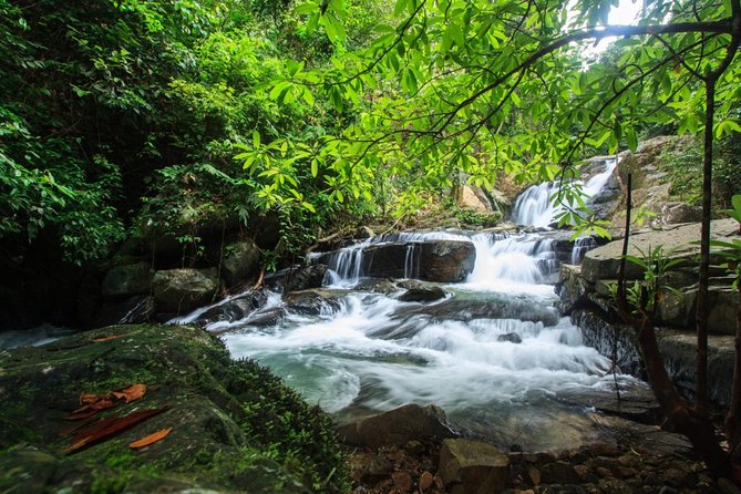 Off Road Safari Khao Lak - Safari Experience in Khao Lak