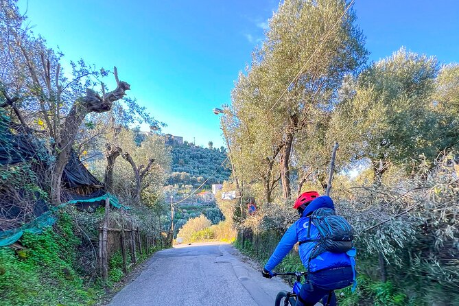 Oil and Lemon - Sorrento E-Bike Tour Experience - Traveler Photos and Reviews