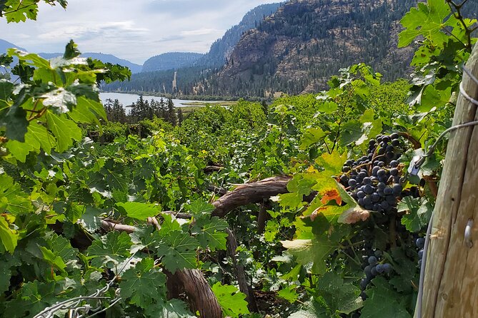 Okanagan Falls Private Wine Tour - Full Day - Top Wineries Visited