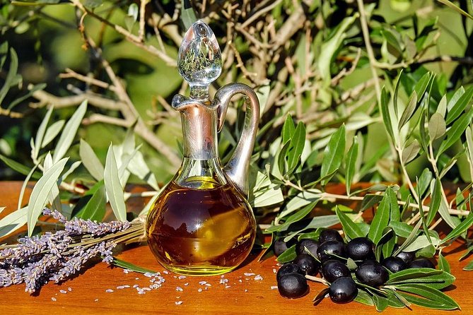 Olive Oil and Navarre Winery Visit With Tastings and Lunch in Small Group Tour - Tour Highlights