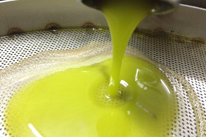 Olive Oil Mill Experience and Tasting in Salento With Guide - What to Expect