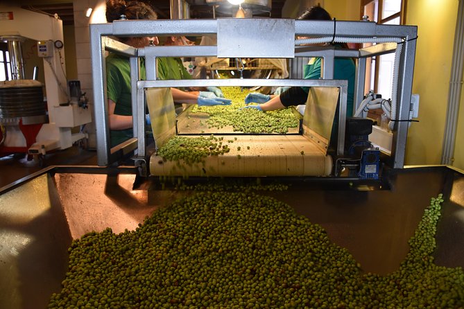 Olive Oil Tasting Tour - Pricing and Booking