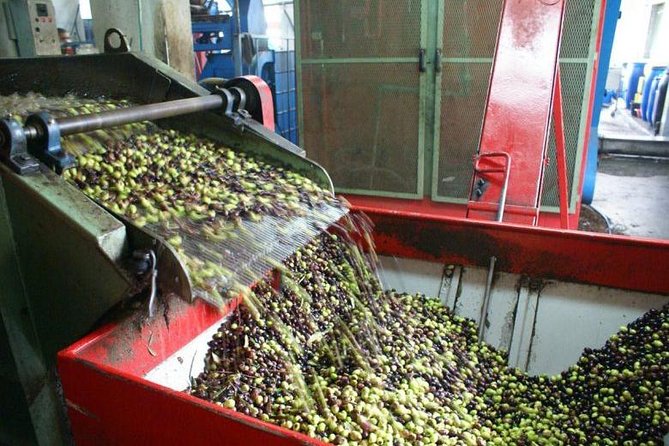 Olive Oil & Wine Now & Then Luxury Private Experience - End Point and Return to Meeting Point