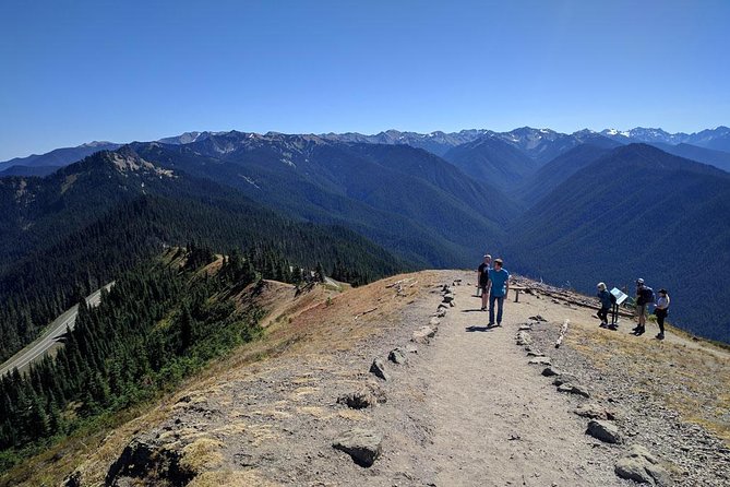 Olympic National Park Luxury Small-Group Day Tour With Lunch - Scenic Route and Highlights