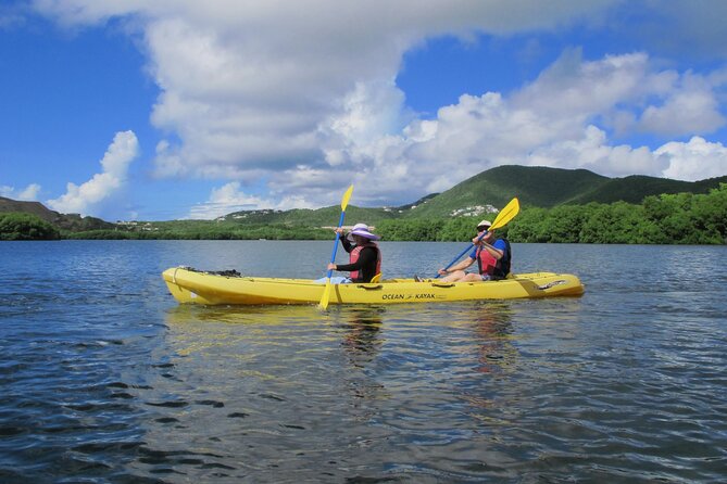 On Your Own: Kayak in the Mangrove Lagoon - Expectations and Requirements