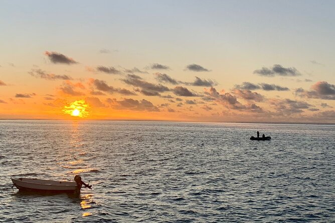 One Day Cruise and Catamaran Excursion - Highlights of the Excursion