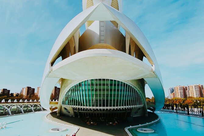 One Day Tour in Valencia From Alicante - Tour Highlights